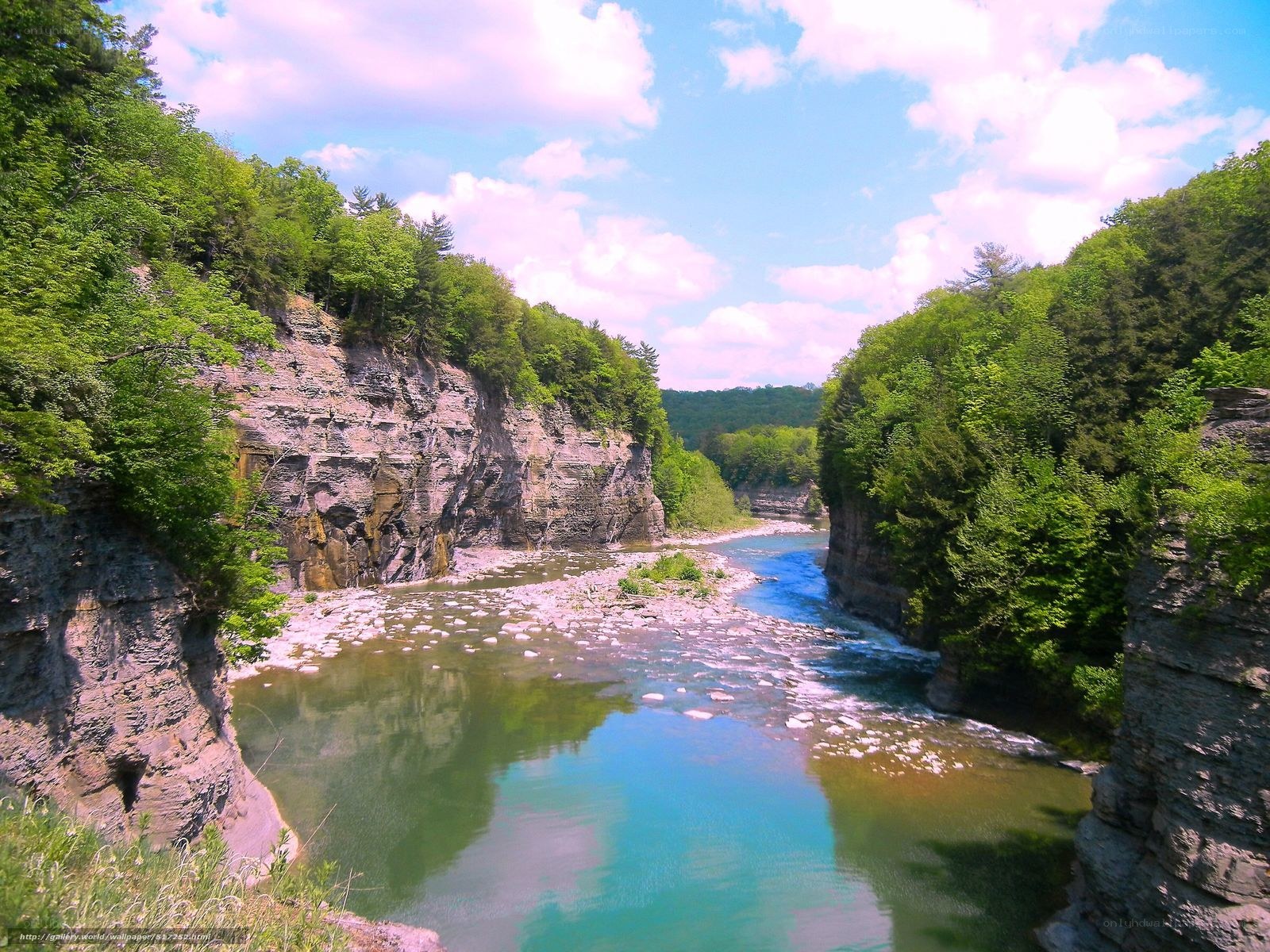 river canyon with green trees