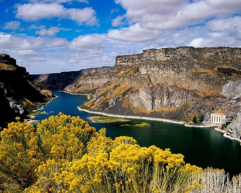 River Canyon with Yellow Flowers — Blue