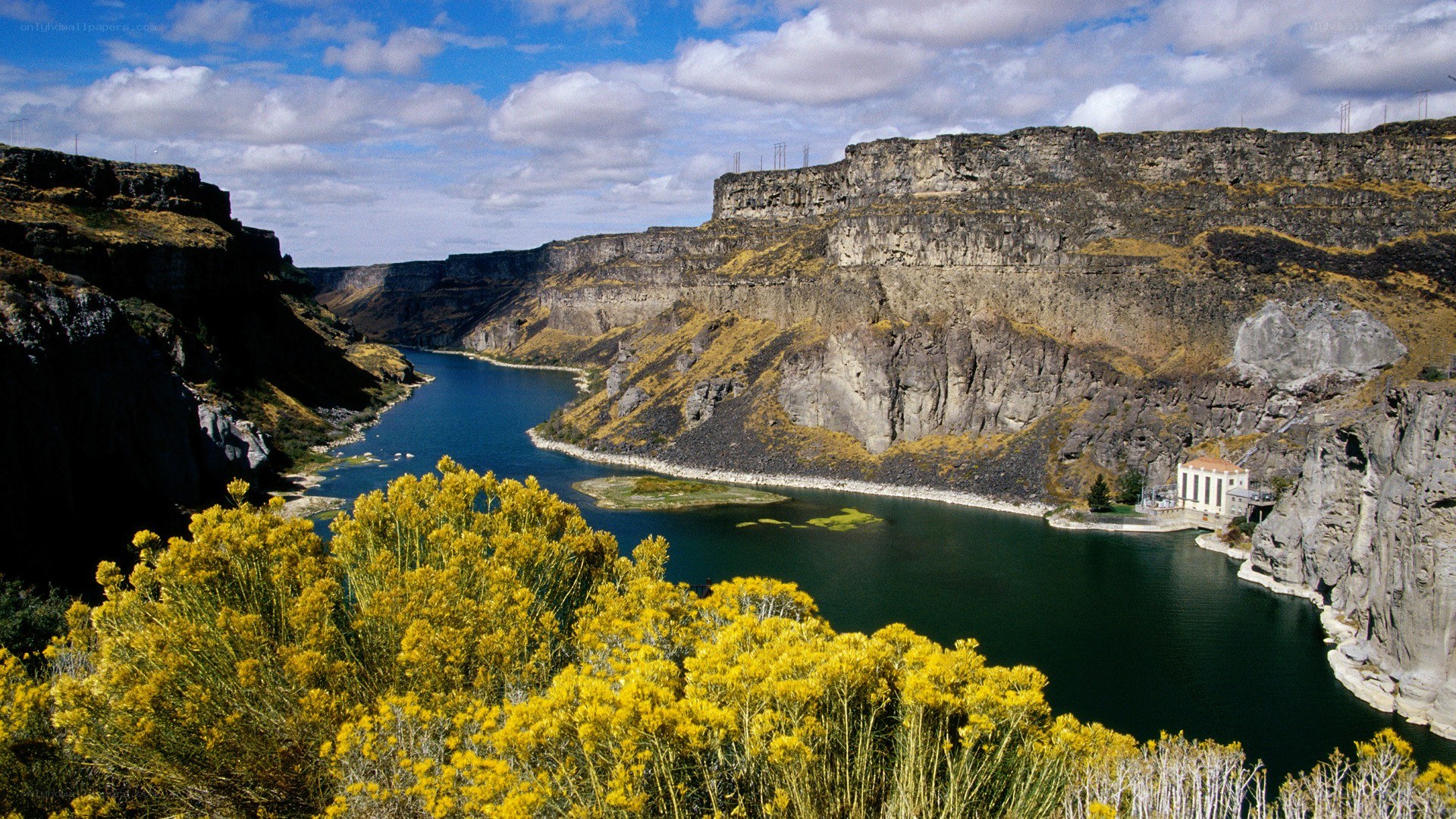 river canyon with yellow flowers