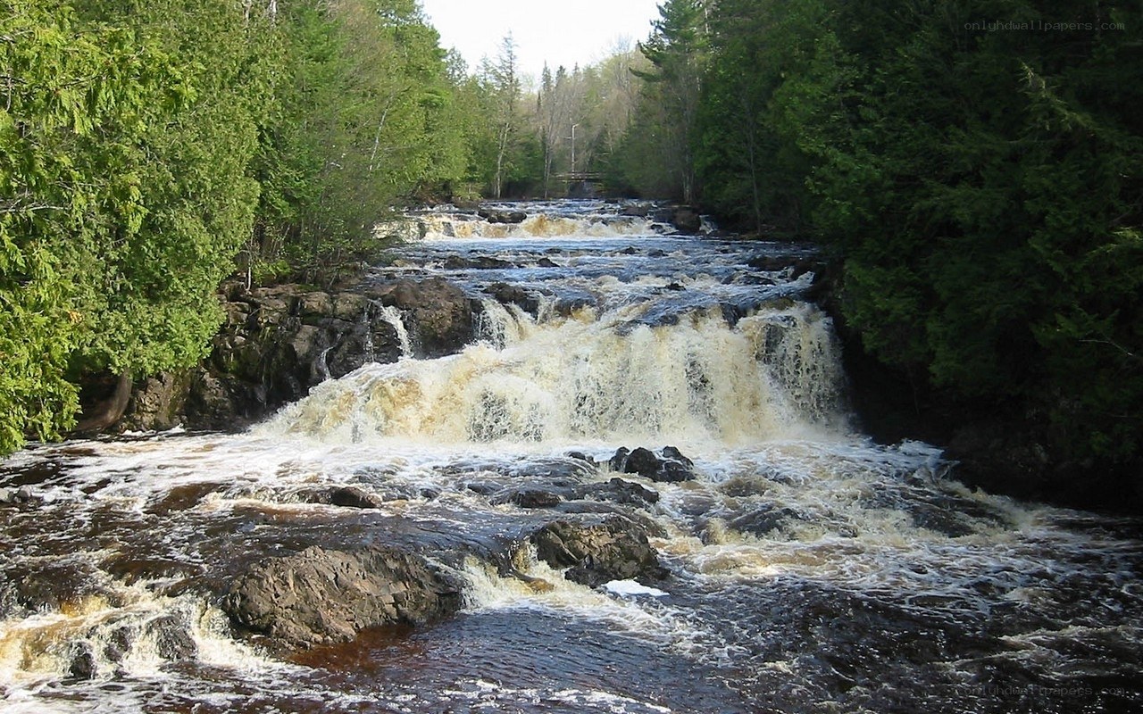 River cascading through forest