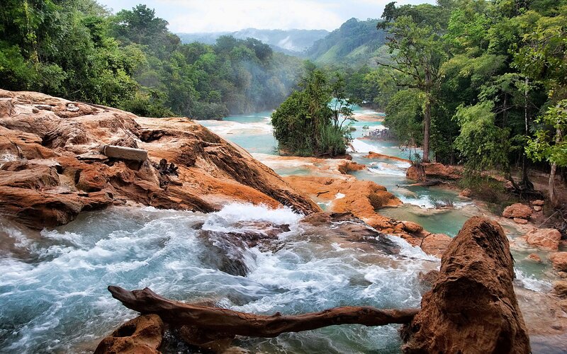 river cascading through forest