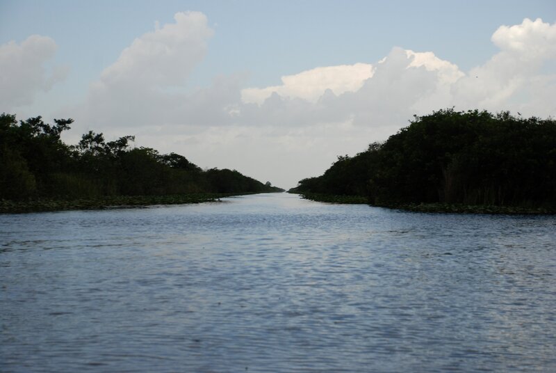 river channel through mangroves