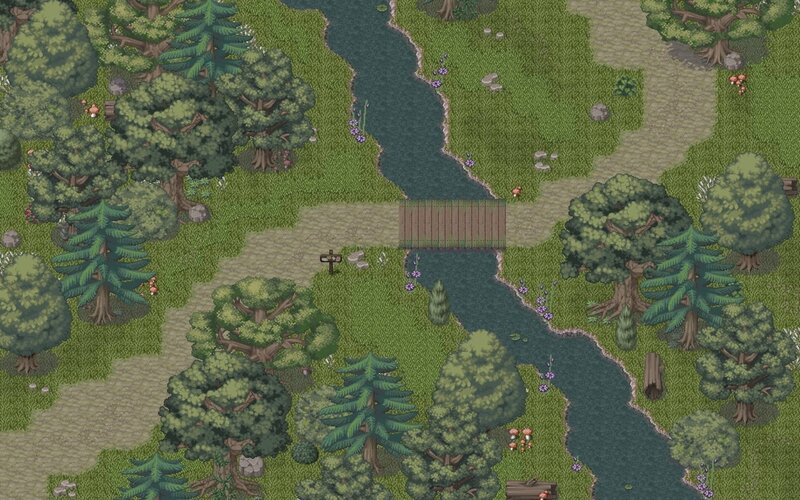 River Crossing in Forest
