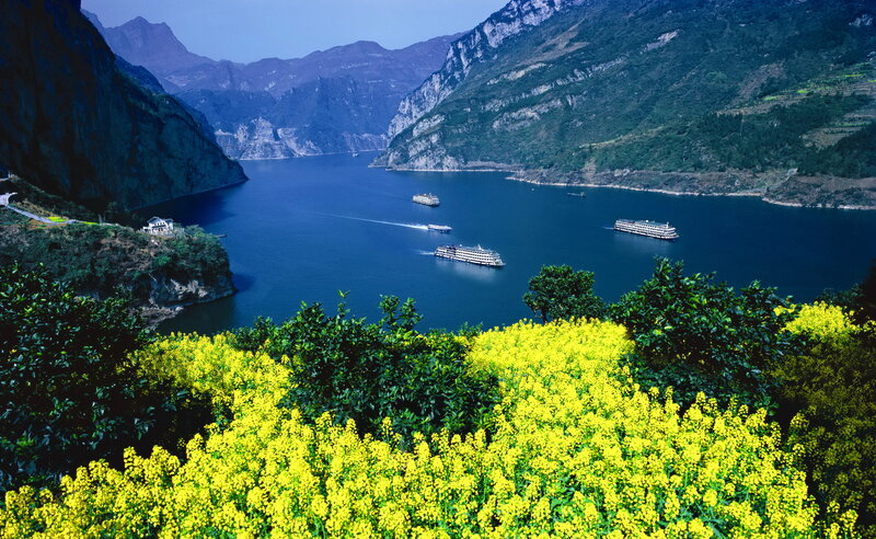 River Cruise Ships — Yellow