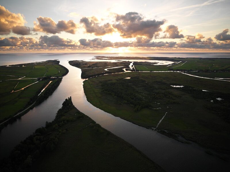 River Delta at Sunset — Green