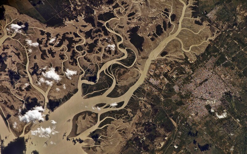 River Delta from Space — Brown