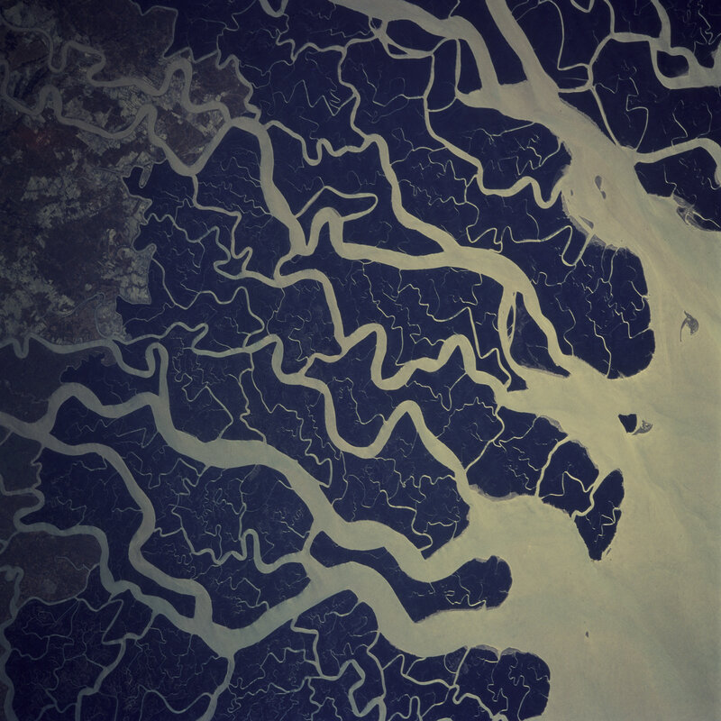 River delta from space
