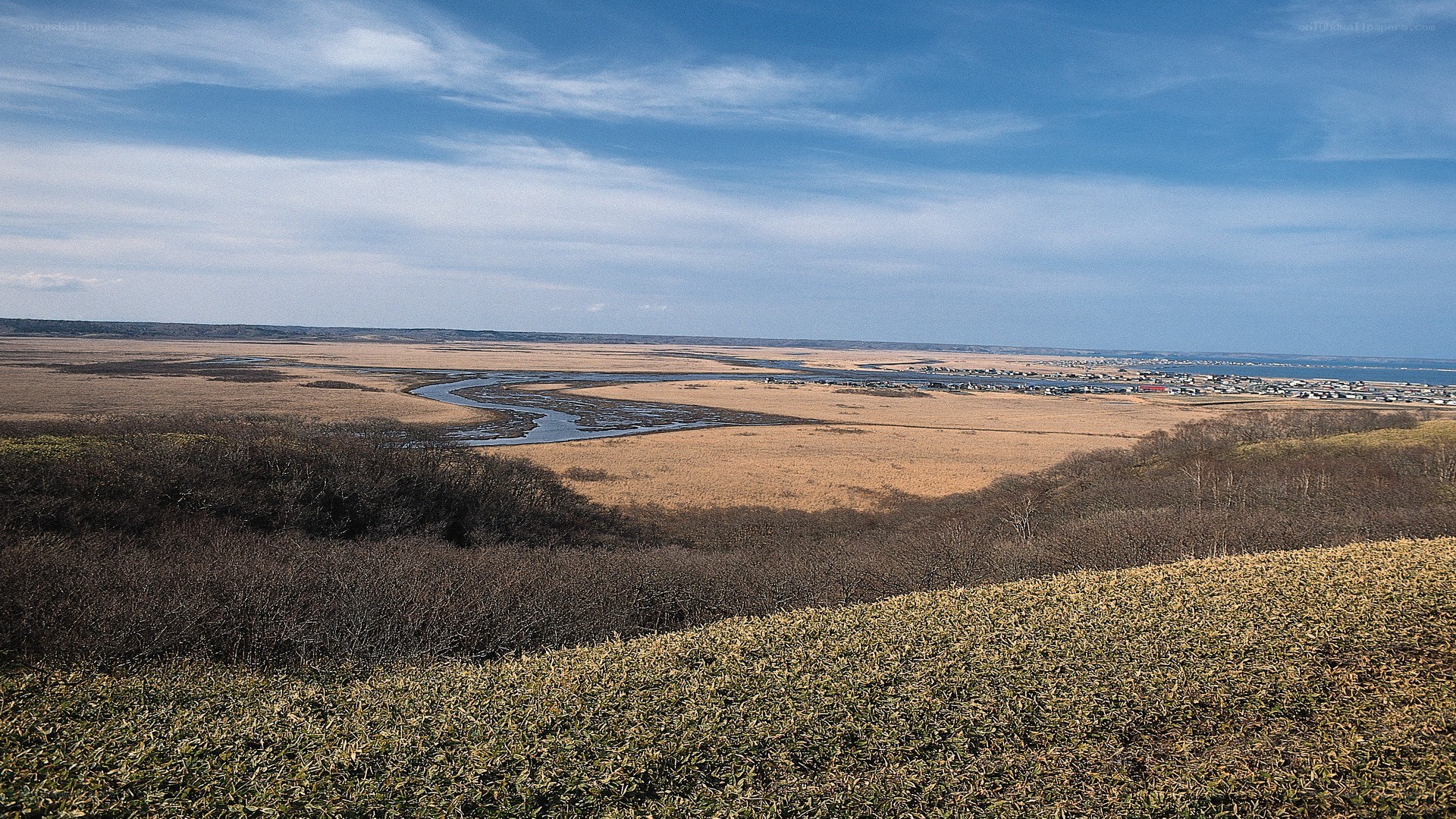 River delta landscape