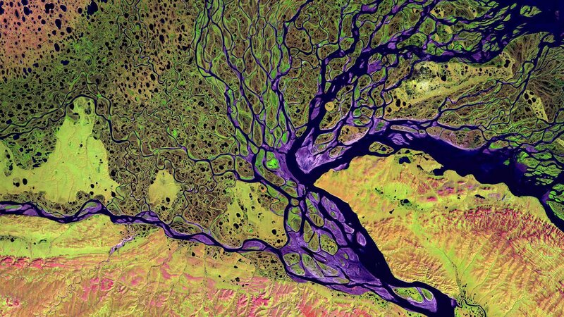 River Delta Network — Purple