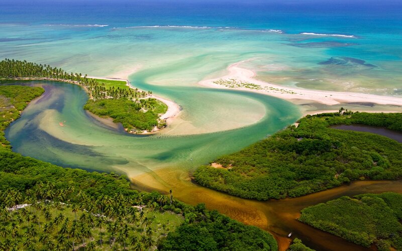 River Delta with Mangroves
