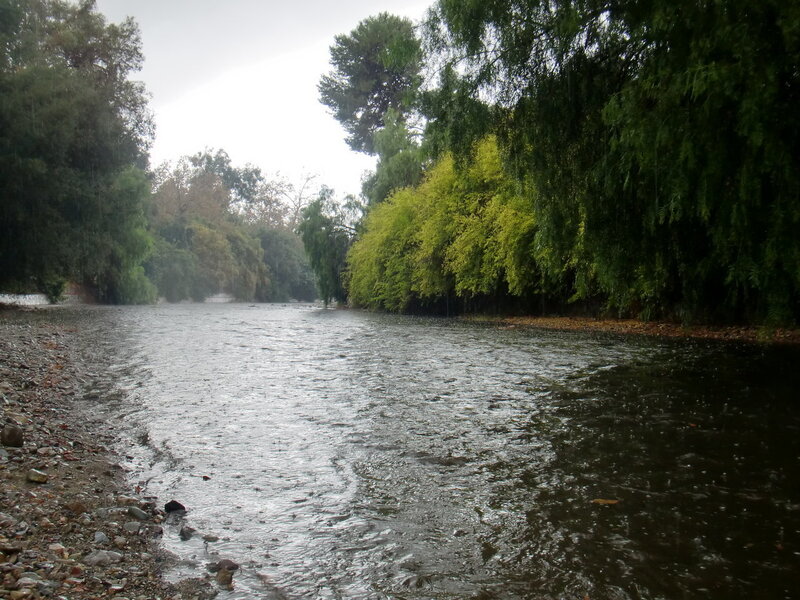 River During Rainfall