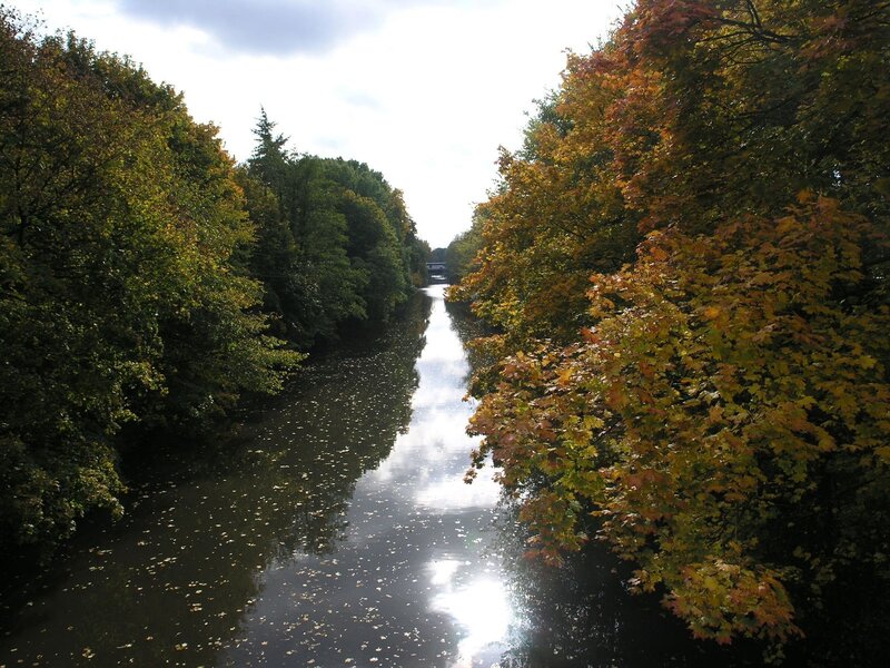 River flanked by autumn trees
