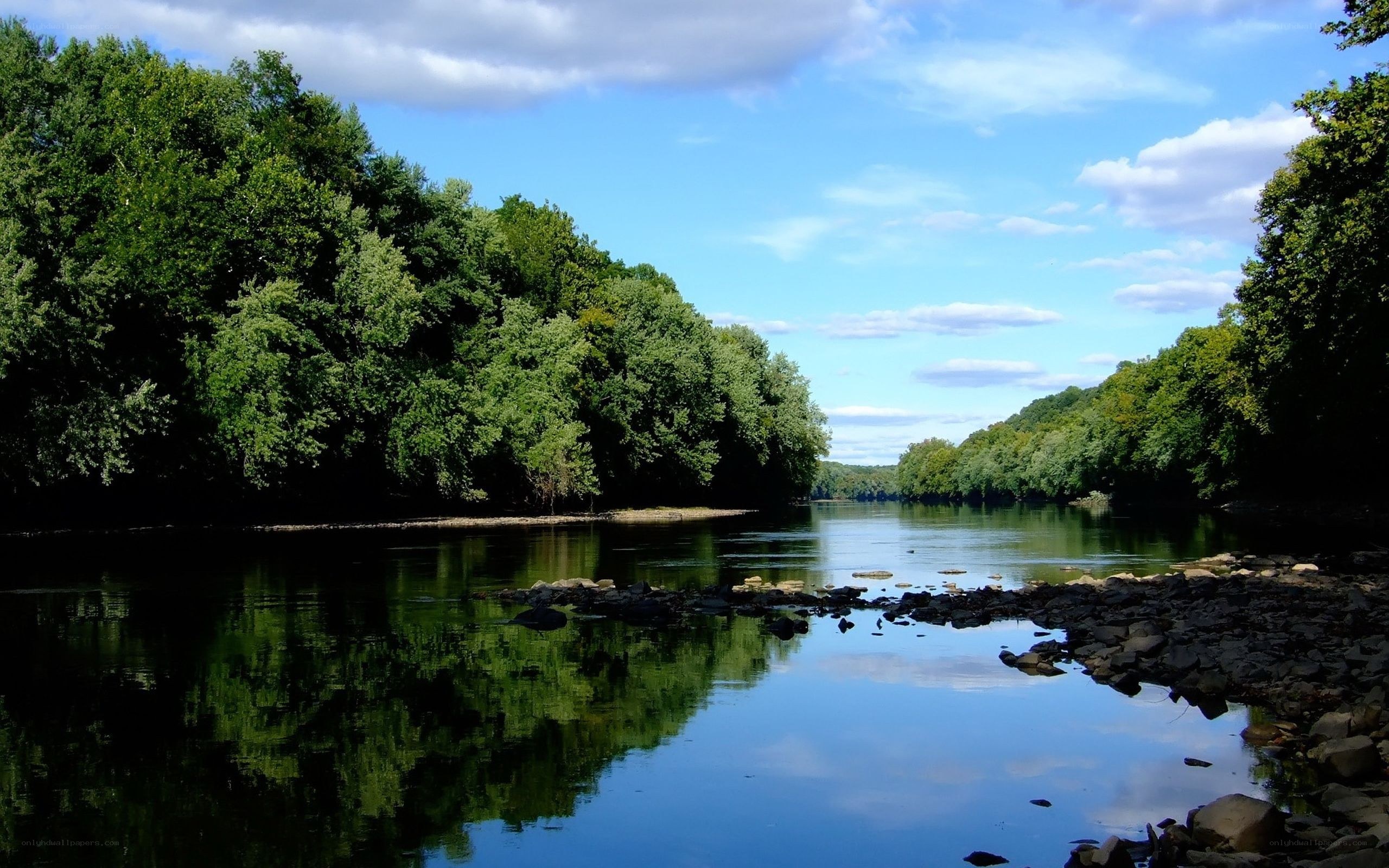 River flanked by lush trees
