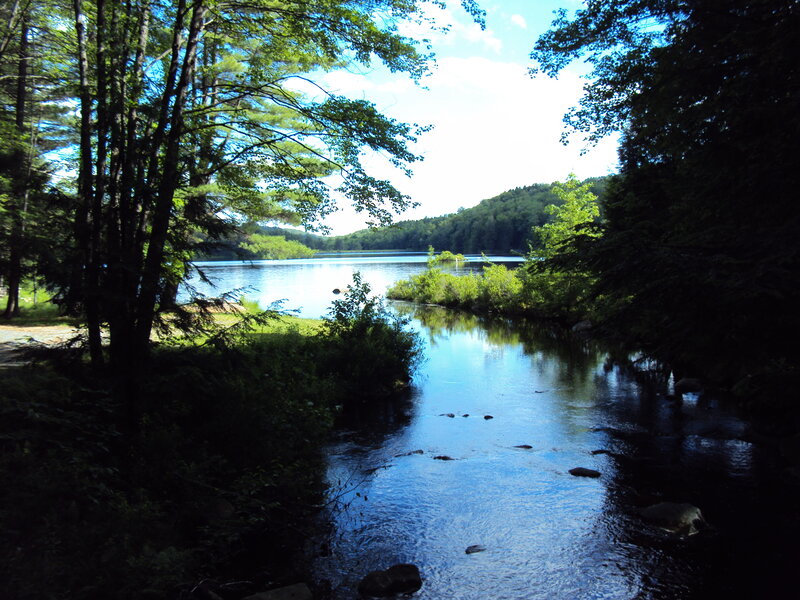 River Flowing into Lake — Green