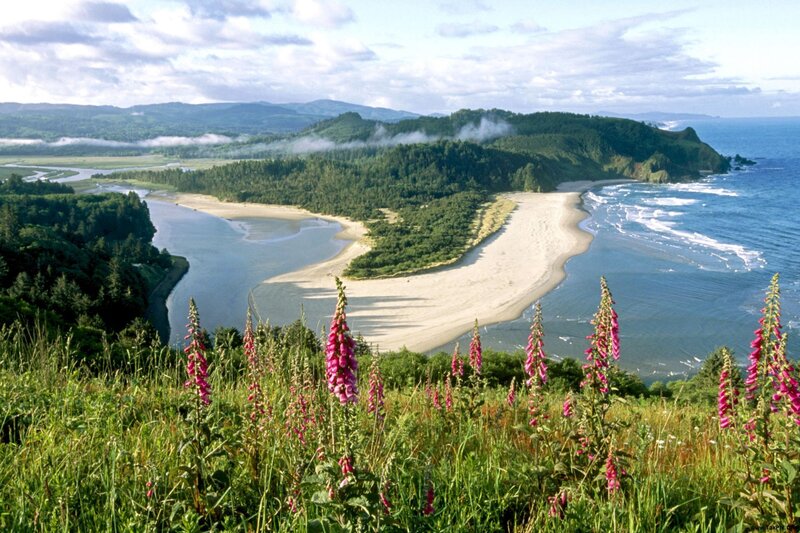 River Flowing into Ocean — Green