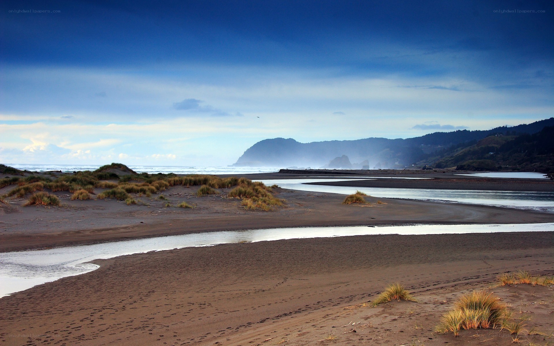 River flowing into the ocean