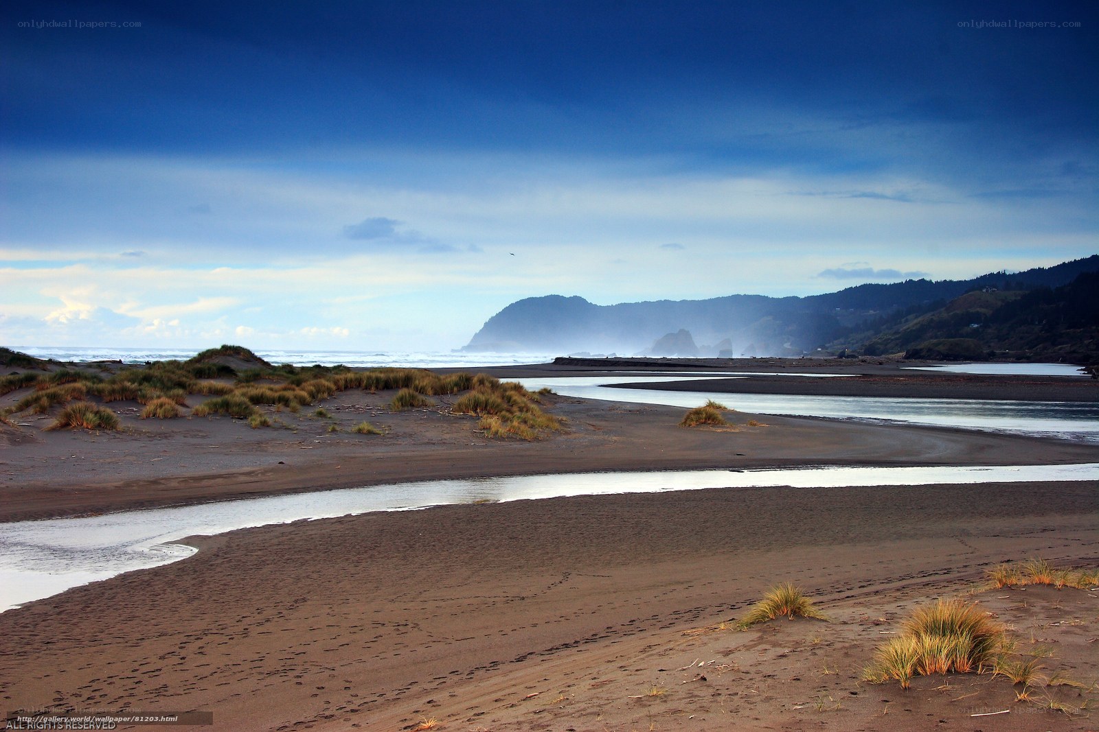 River flowing into the ocean
