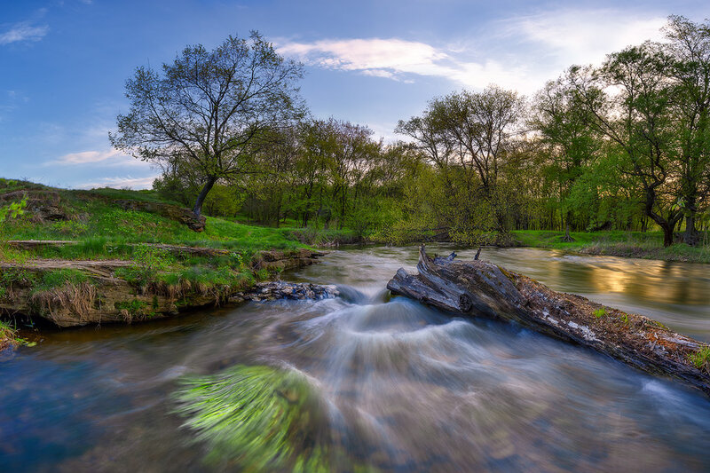 River Flowing over Log