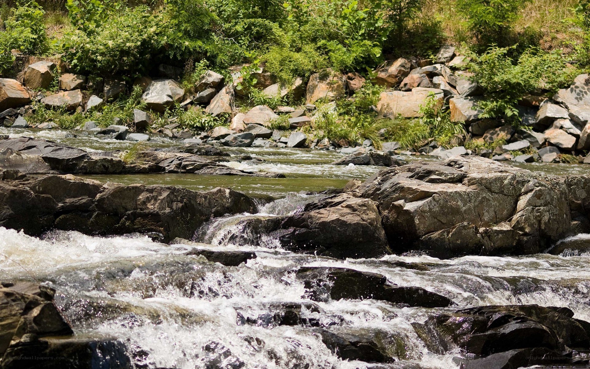 River flowing over rocks