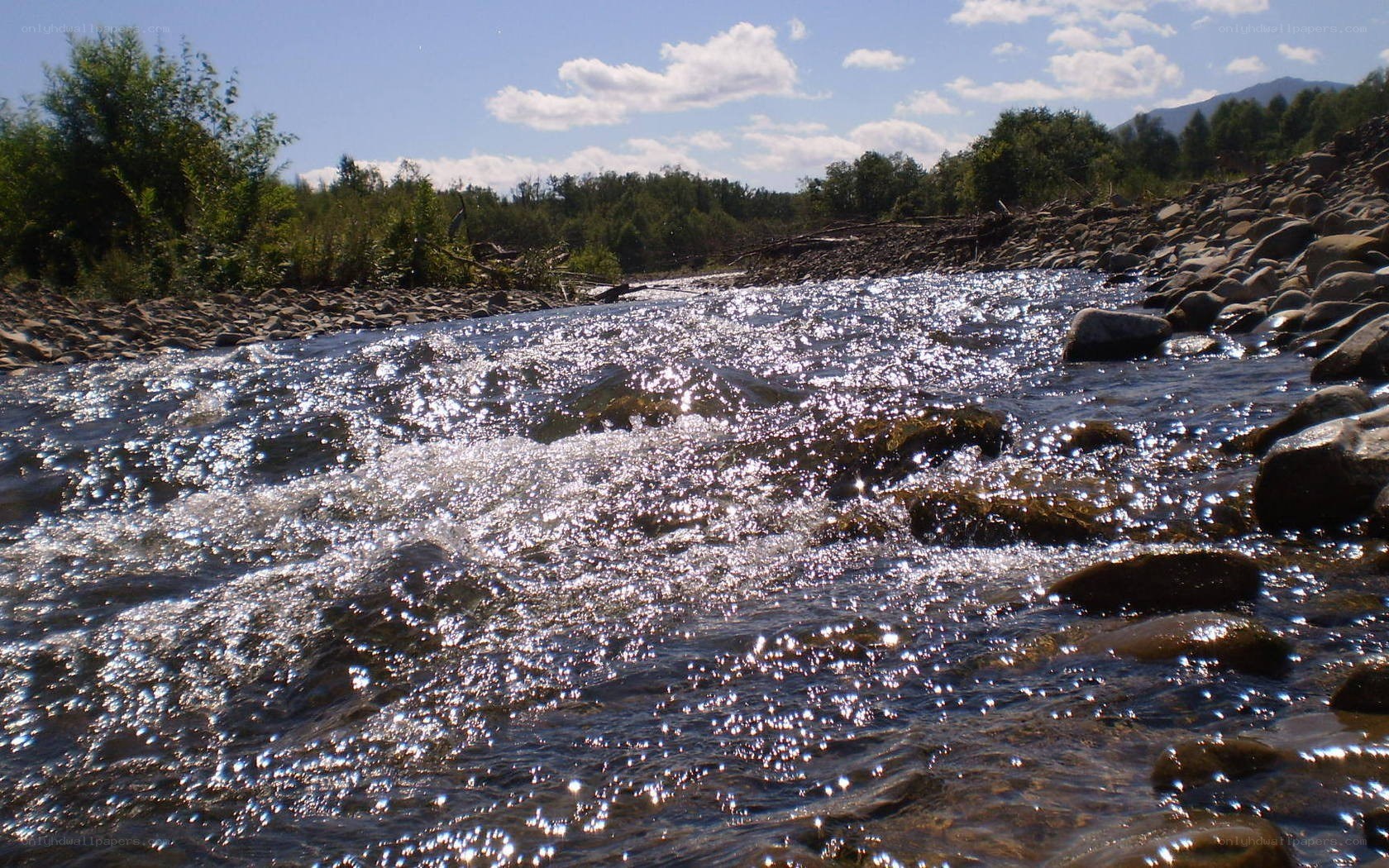 River flowing over rocks