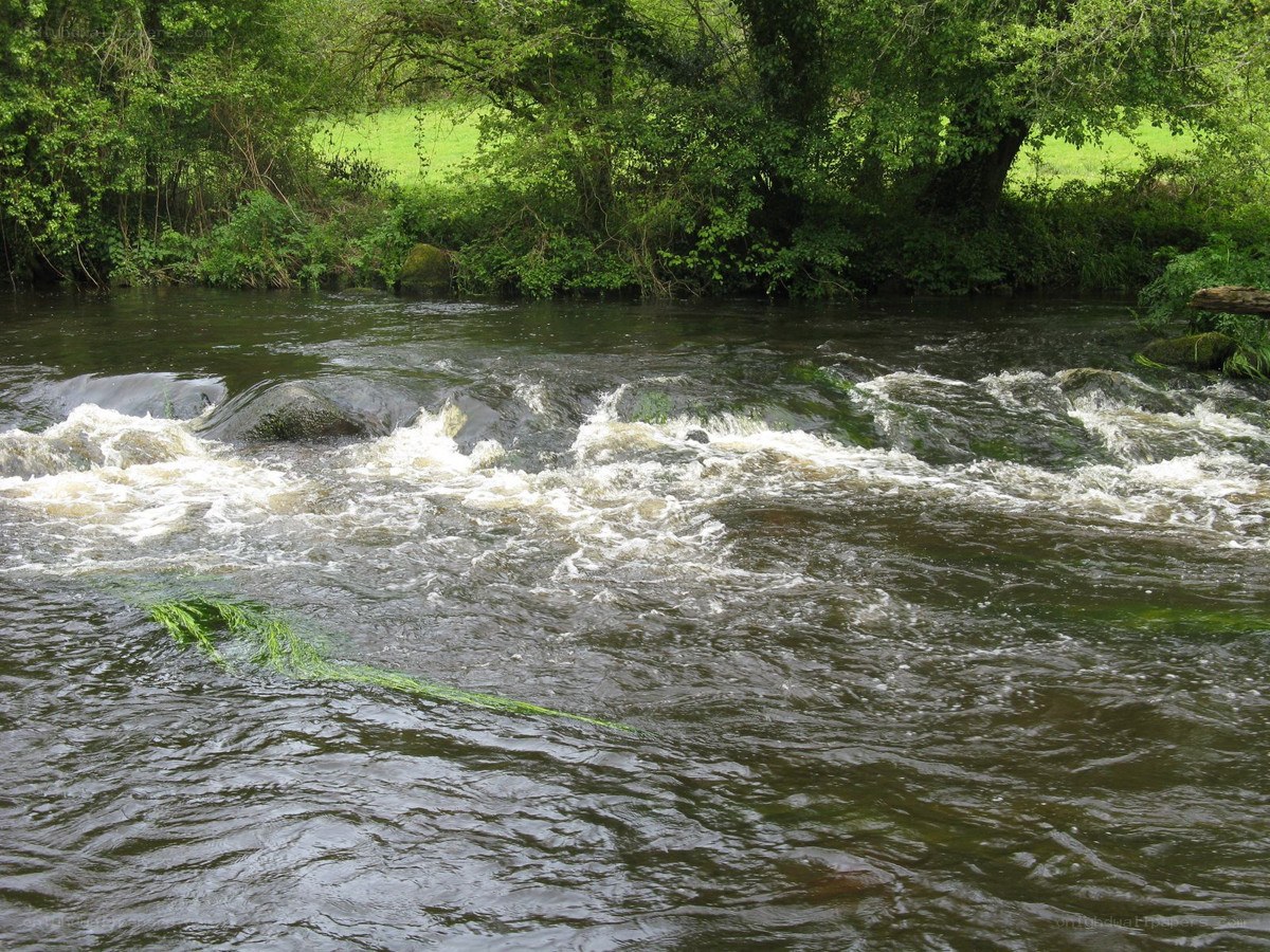 River flowing over rocks