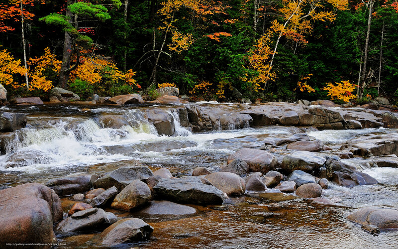 River Flowing over Rocks — Brown, Serene, Autumn