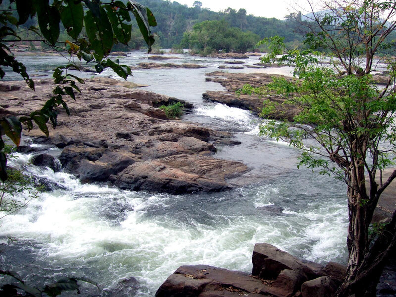 River Flowing over Rocks — Green, Natural, Afternoon, Photograph, Trees, Forest, Brown