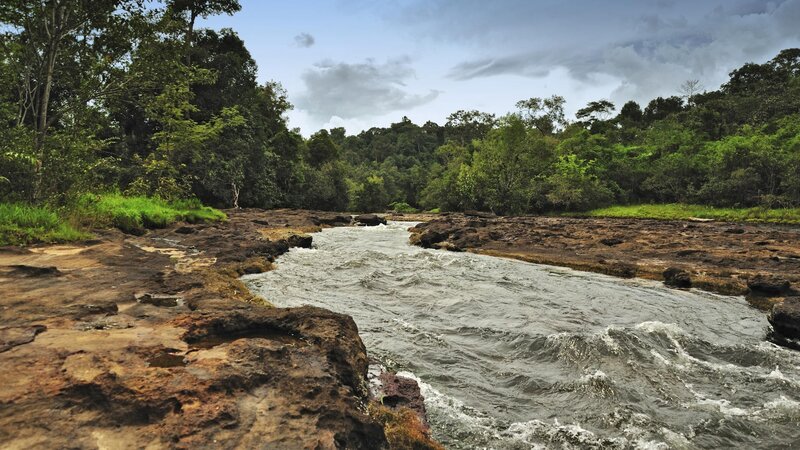 River Flowing over Rocks — Green, Natural, Afternoon, Photograph, Trees, Sky