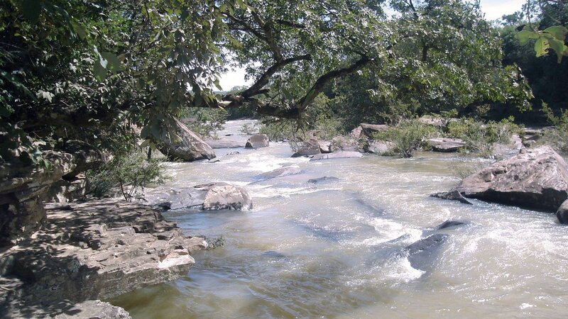 River Flowing over Rocks — Green, Natural, Afternoon, Photograph, Trees, Water