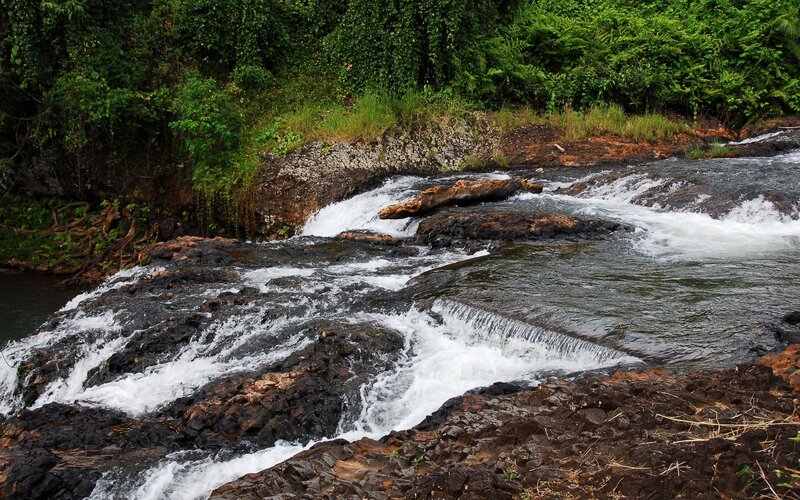 River Flowing over Rocks — Green, Natural, Photograph, Trees, Fallen Log