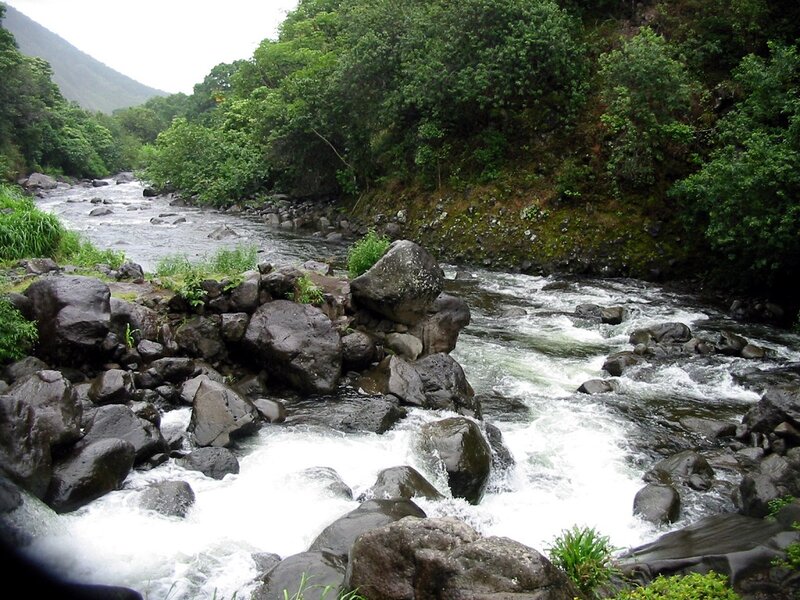 River Flowing over Rocks — Green, Natural, Photograph, Trees, Mountain