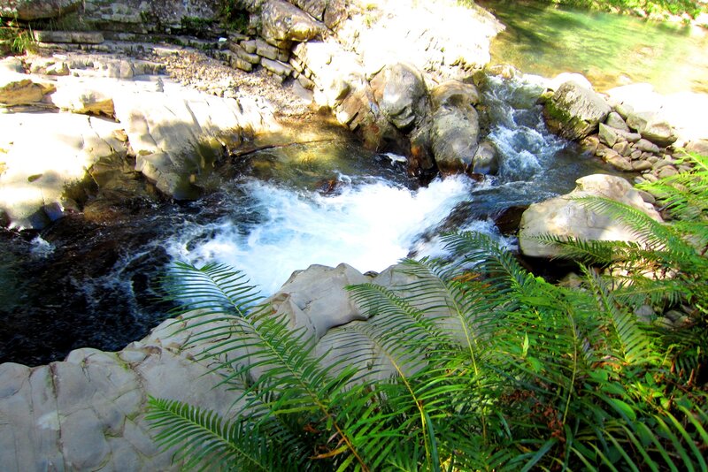 River Flowing over Rocks — Green, Serene, Afternoon, Photograph, Ferns