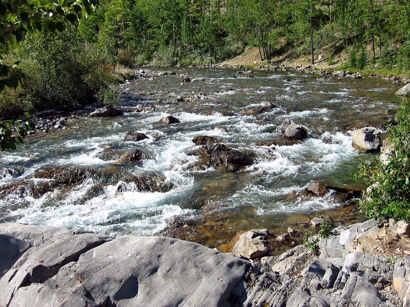 River Flowing over Rocks — Green, Serene, Afternoon, Photograph, Trees, Forest, Brown, White