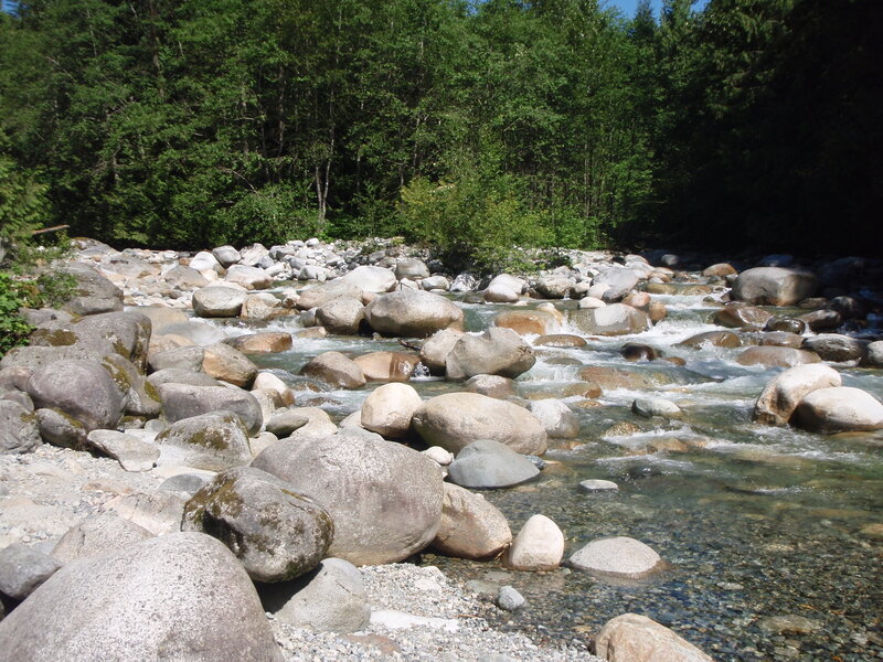 River Flowing over Rocks — Green, Serene, Afternoon, Photograph, Trees, Forest, Gray