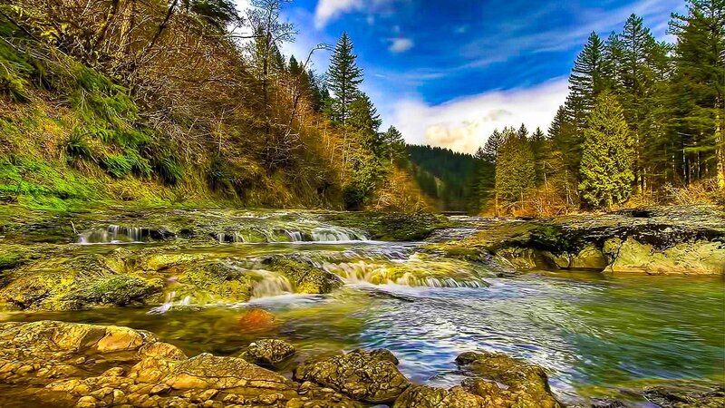 River Flowing over Rocks — Green, Serene, Afternoon, Photograph, Trees, Forest, Sky