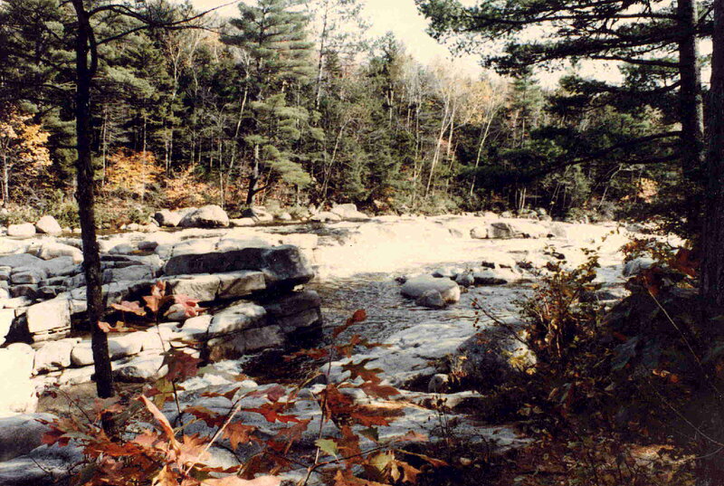 River Flowing over Rocks — Green, Serene, Autumn, Photograph, Trees, Leaves