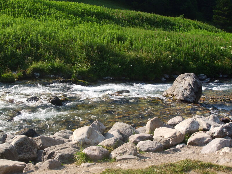 River Flowing over Rocks — Green, Serene
