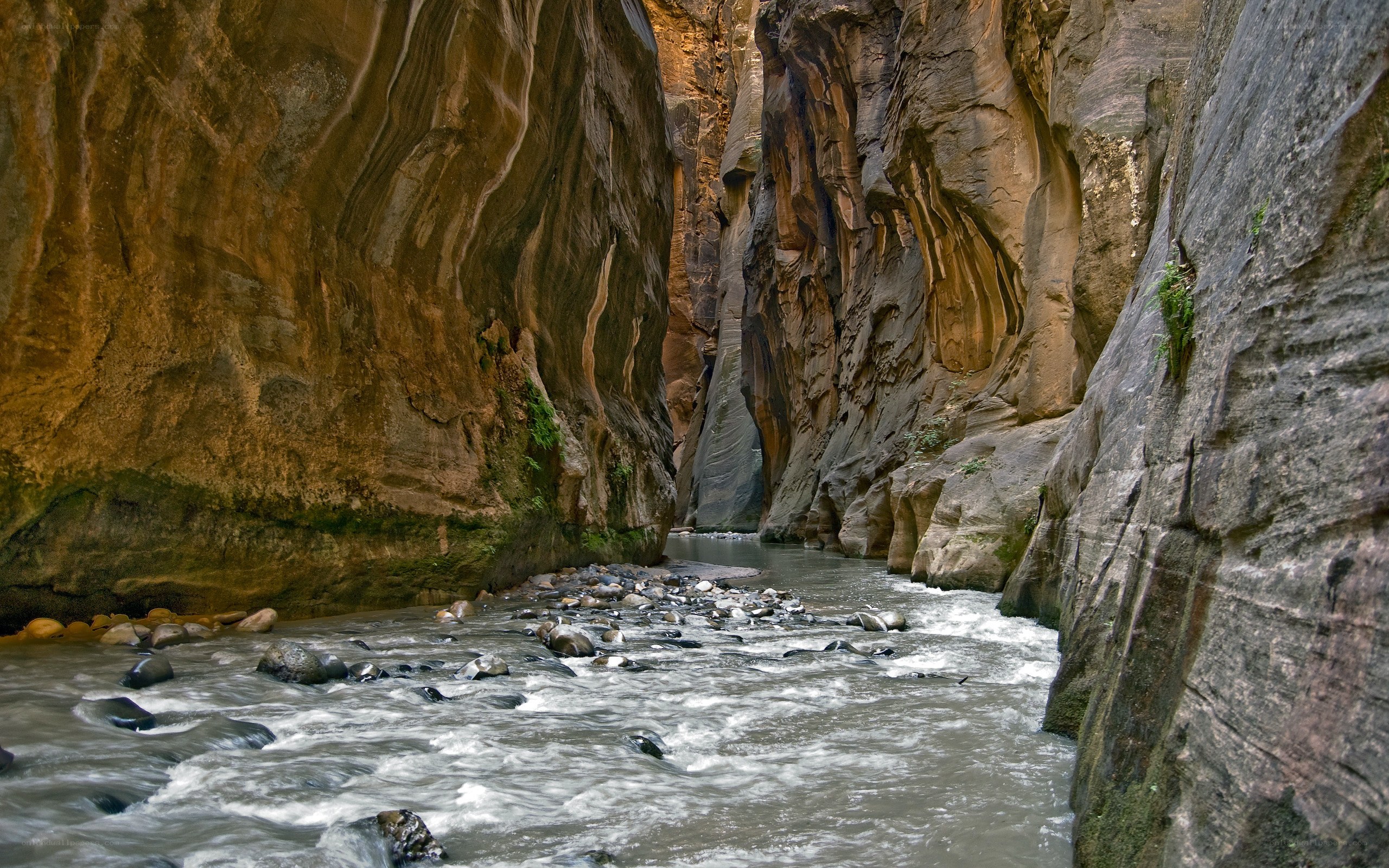 river flowing through a canyon