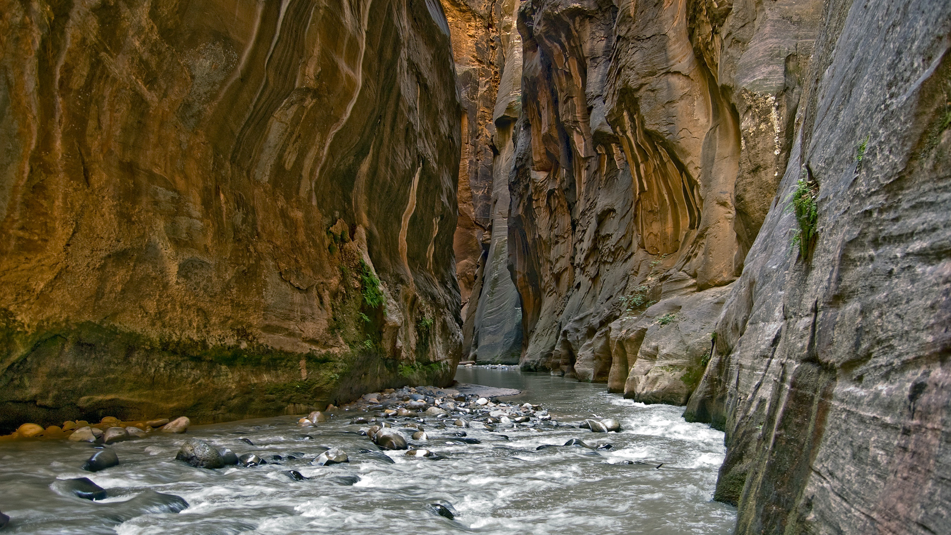 river flowing through a canyon