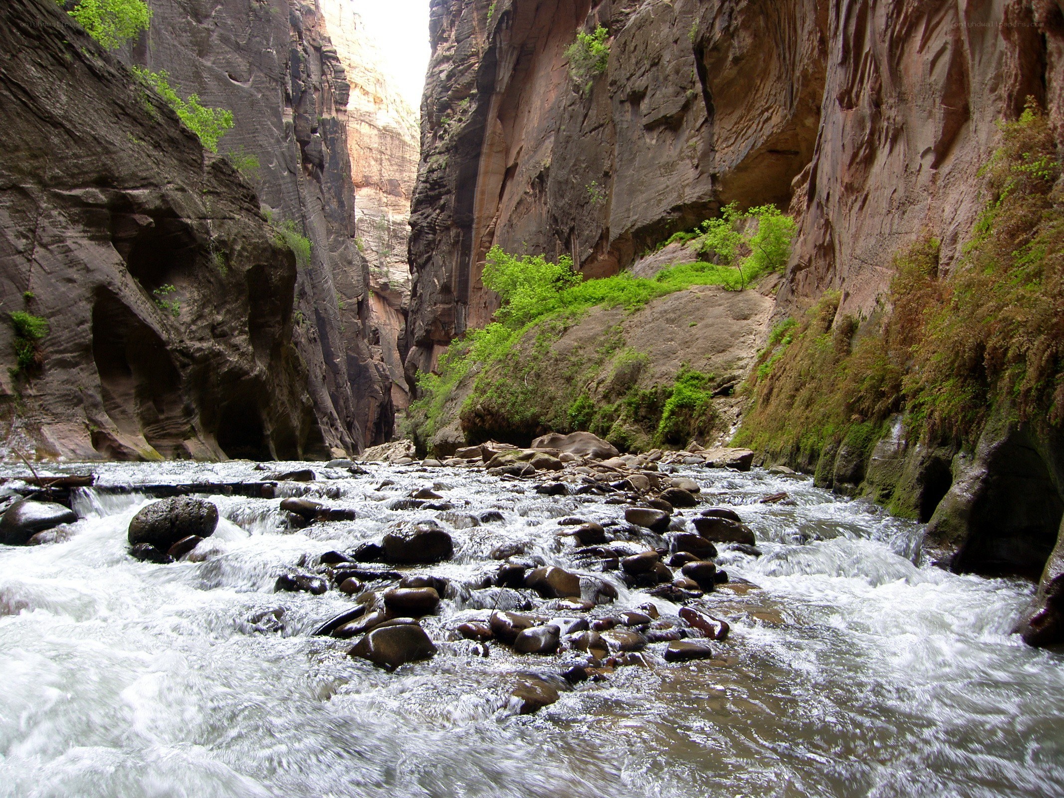 River flowing through a canyon