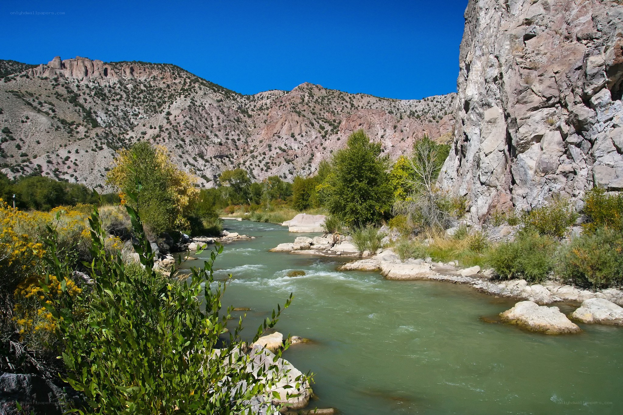 River flowing through a canyon