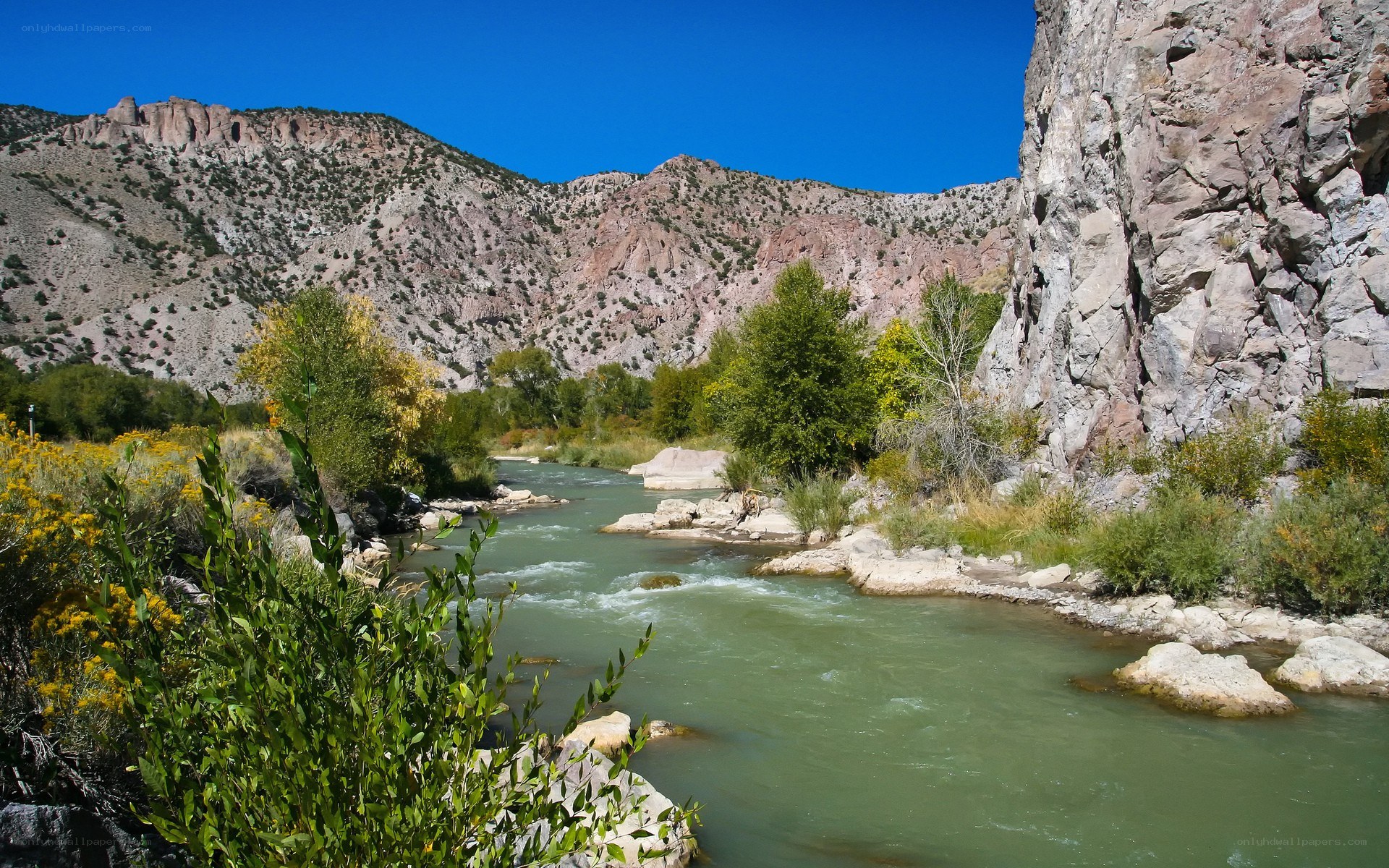 River flowing through a canyon