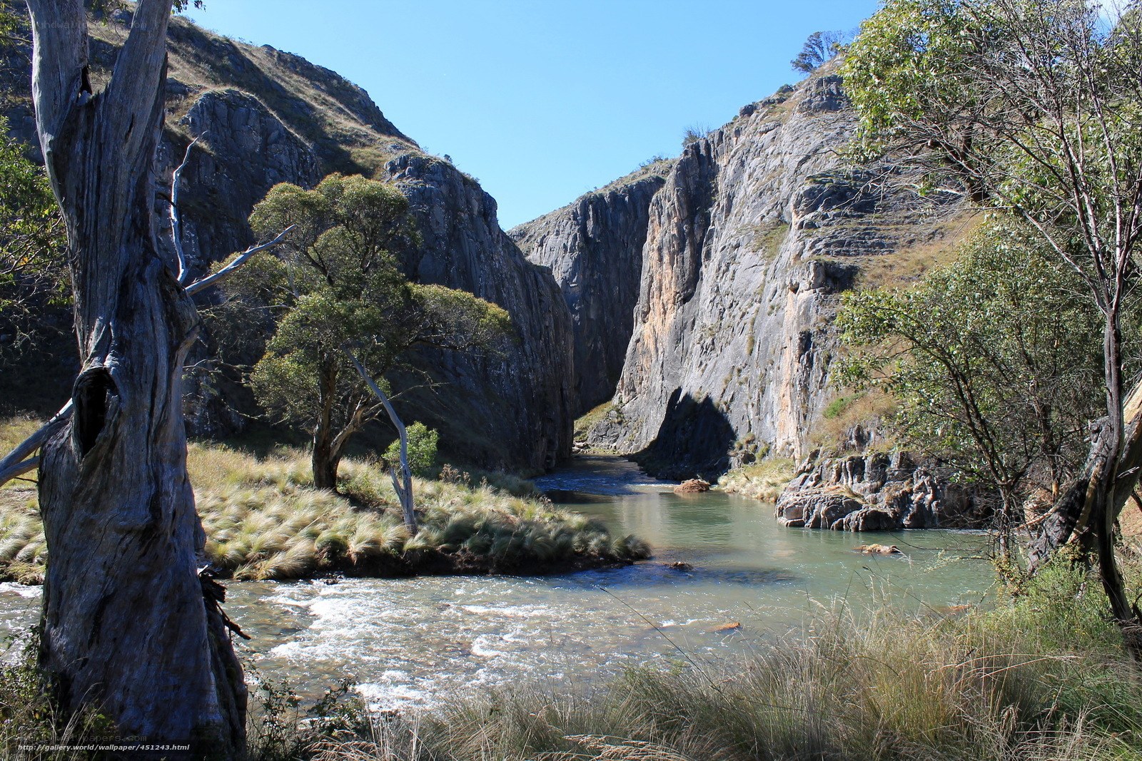 River flowing through a canyon