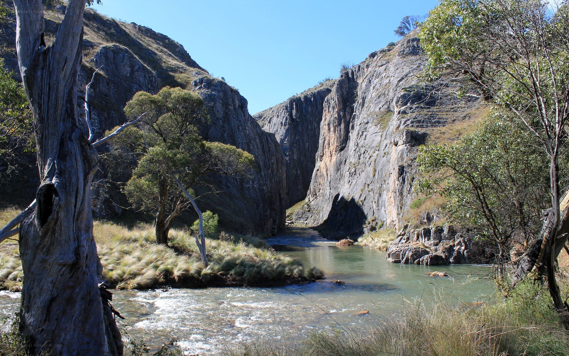 River flowing through a canyon