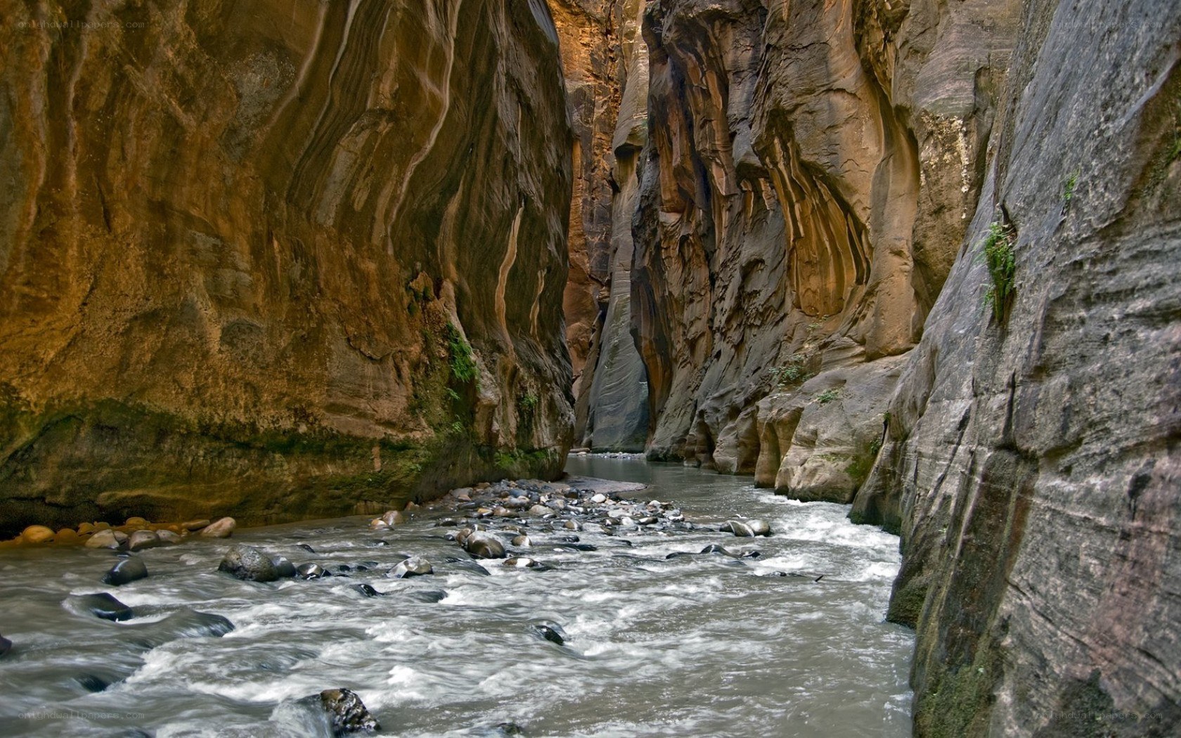 river flowing through a canyon