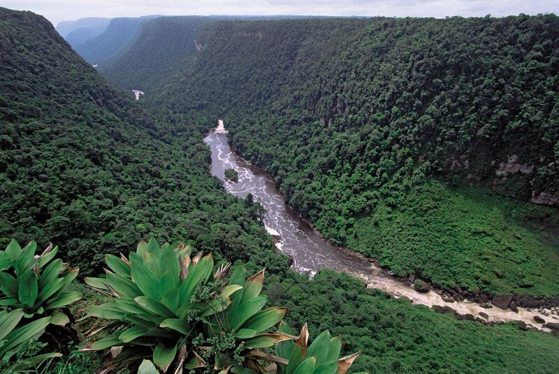 River flowing through a deep canyon