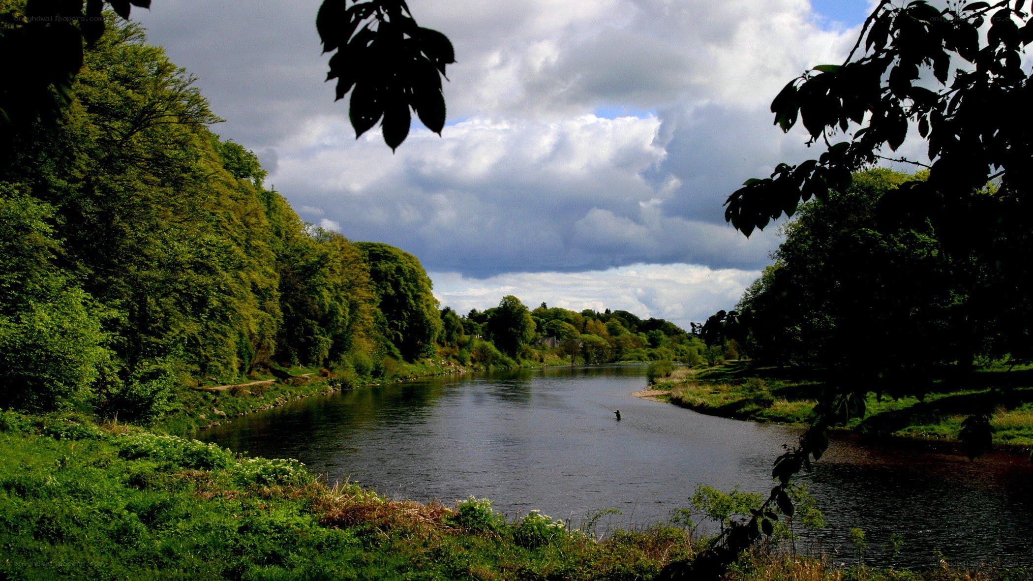 River flowing through a forest