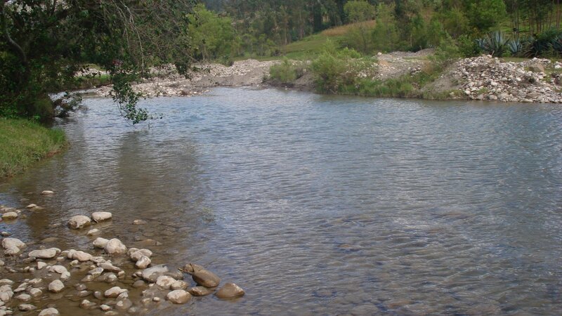 River flowing through a forested area