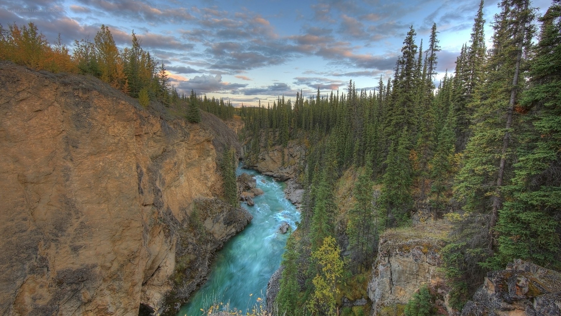 river flowing through a forested canyon