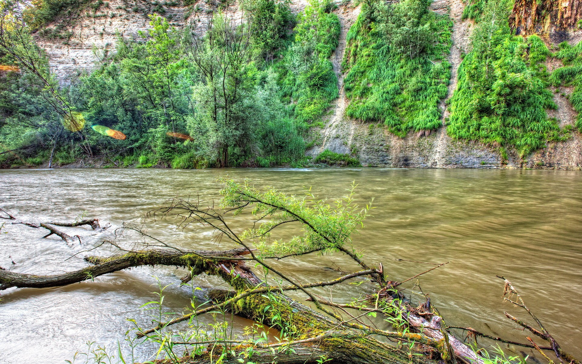 River flowing through a forested canyon